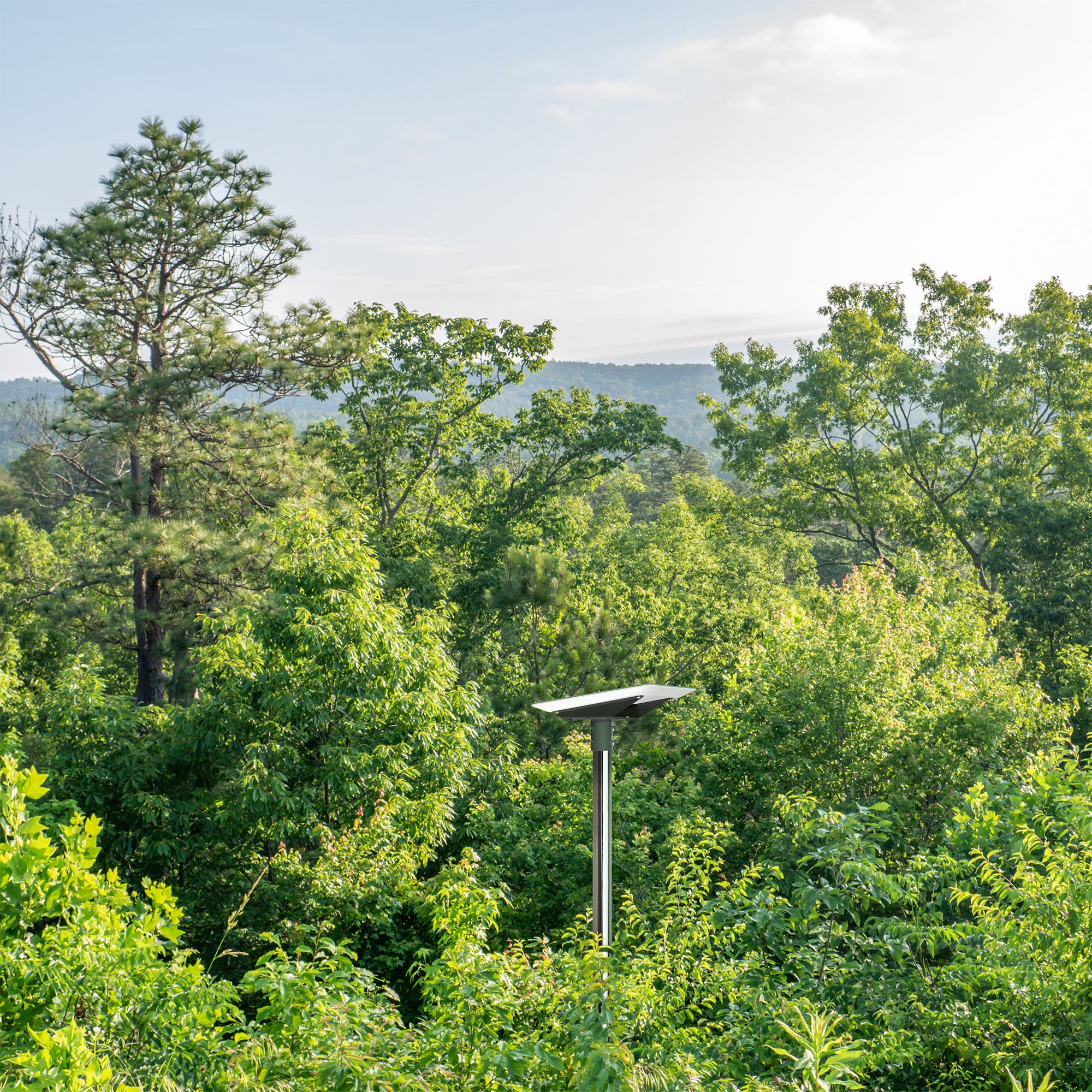 A gray pole adapter on an outdoor background.