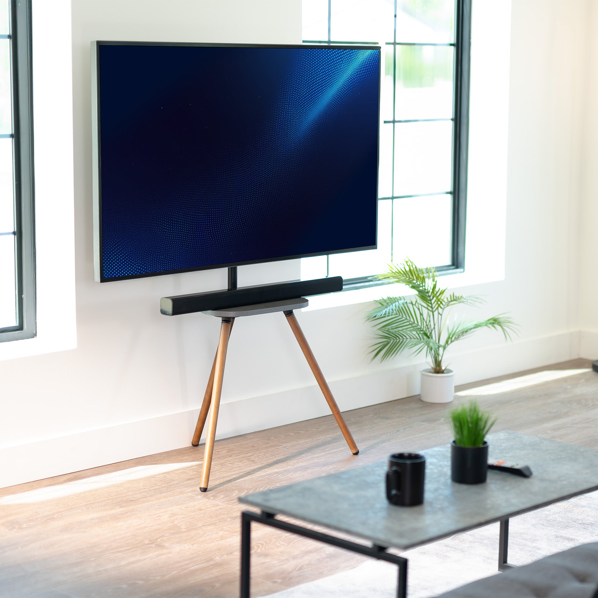 Modern living room with a television on a stand, coffee table, and plants.