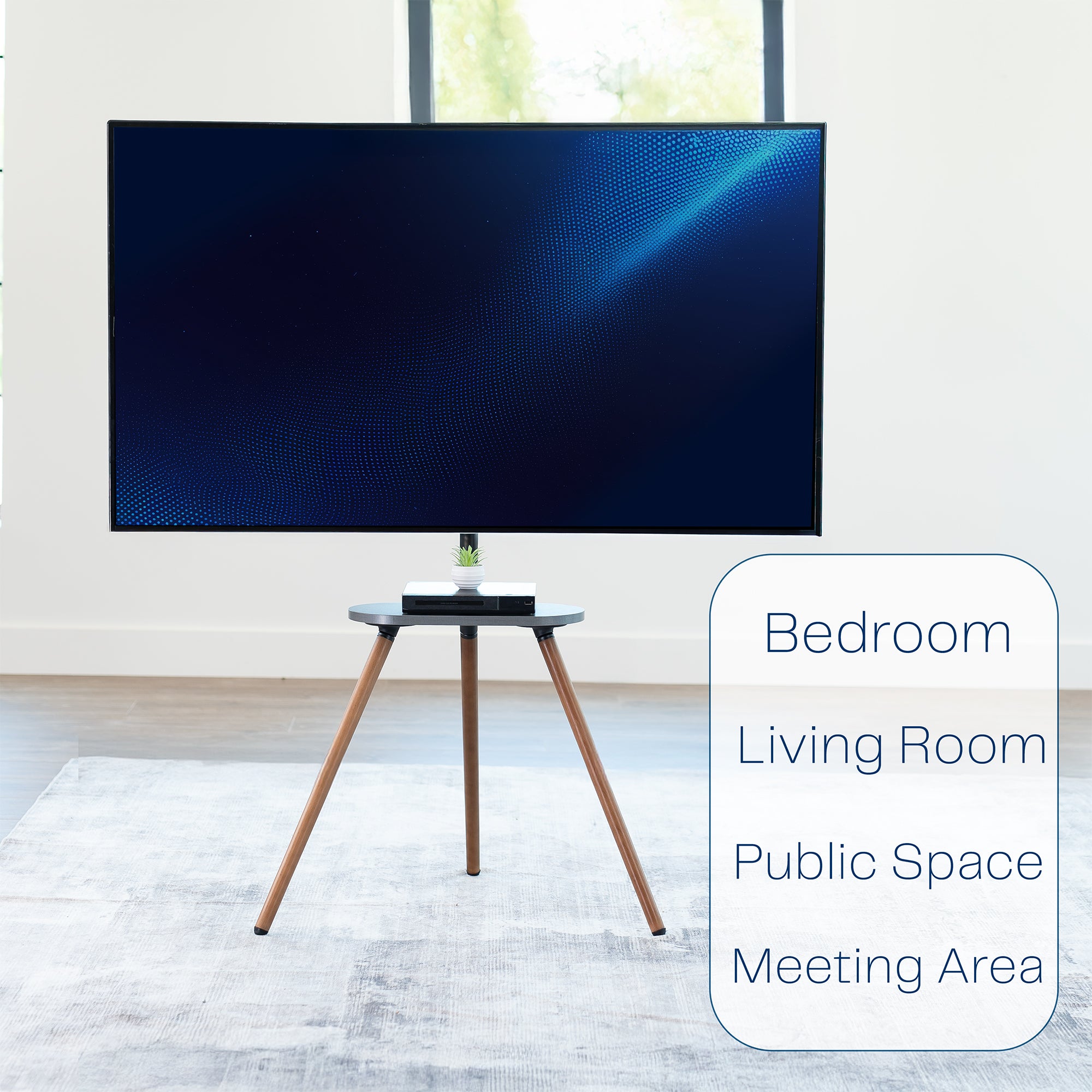 Large flat-screen TV mounted on a wall with a small table in front, labeled for various room types.
