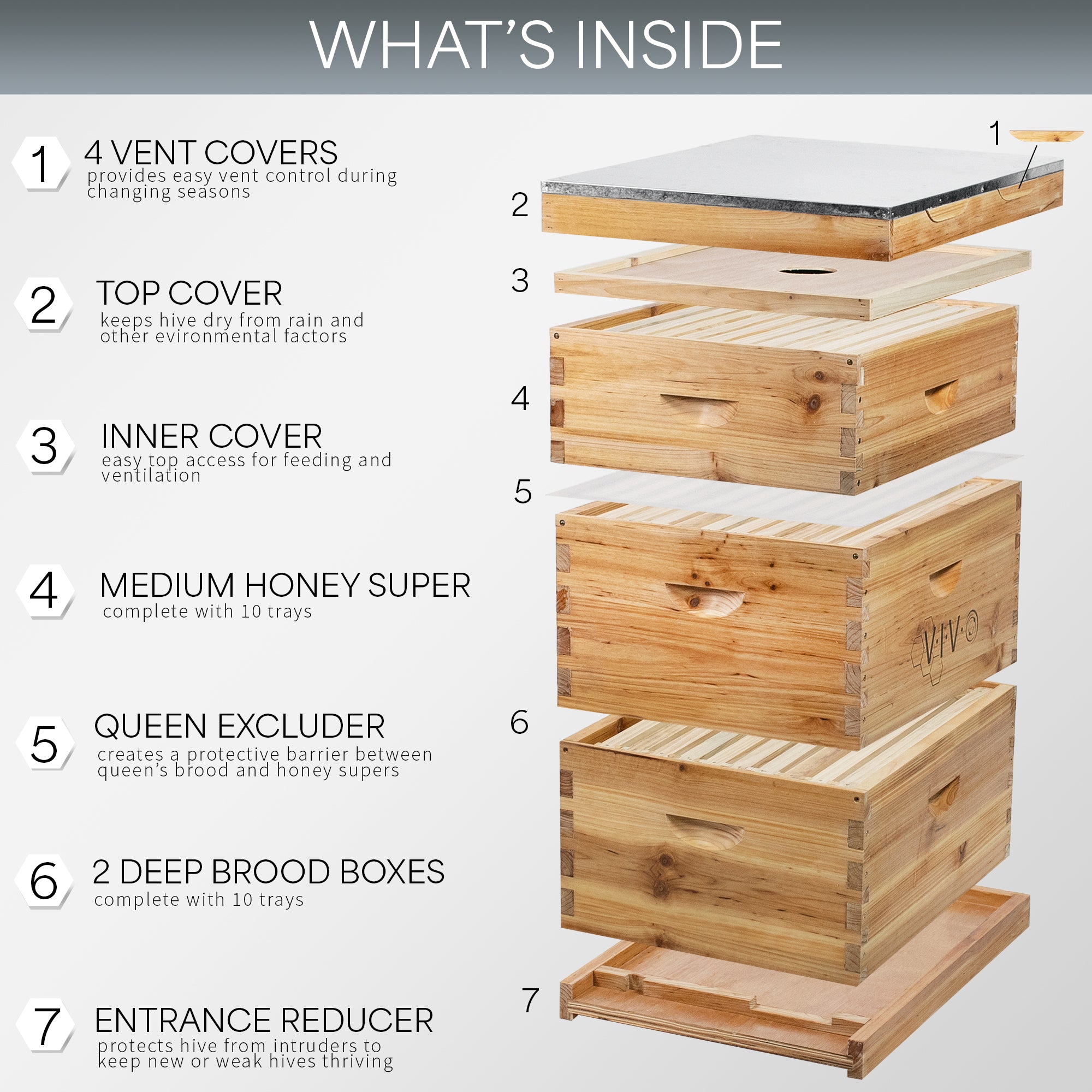 Easy assembly beekeeping beeswax coated Langstroth beehive with plastic hive excluder.