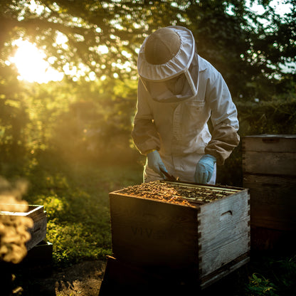 Easy assembly beekeeping beeswax coated Langstroth beehive with ventilation covers.