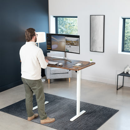 60" x 30" Height Adjustable Electric Desk