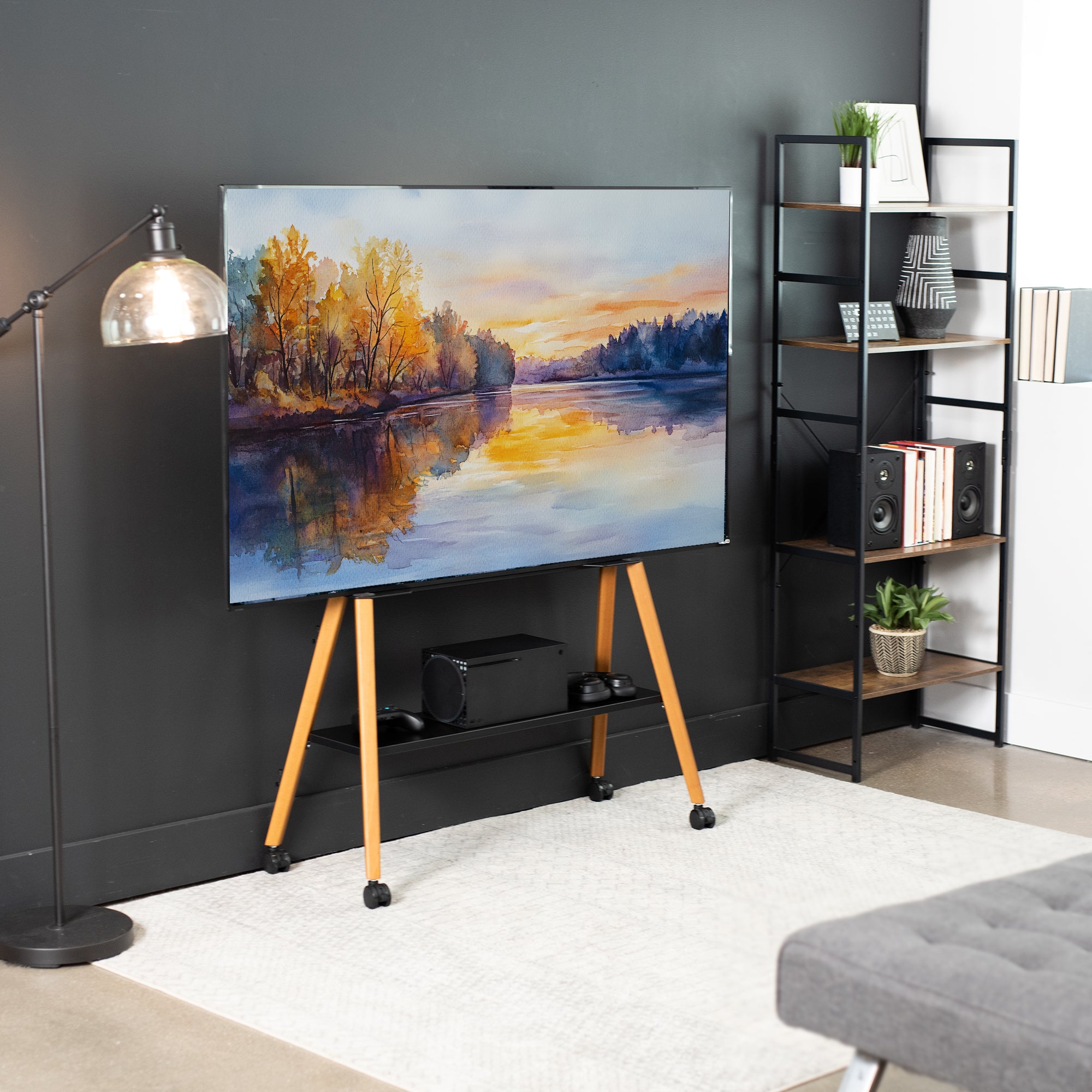 Living room with a TV displaying a nature scene, floor lamp, and bookshelf.