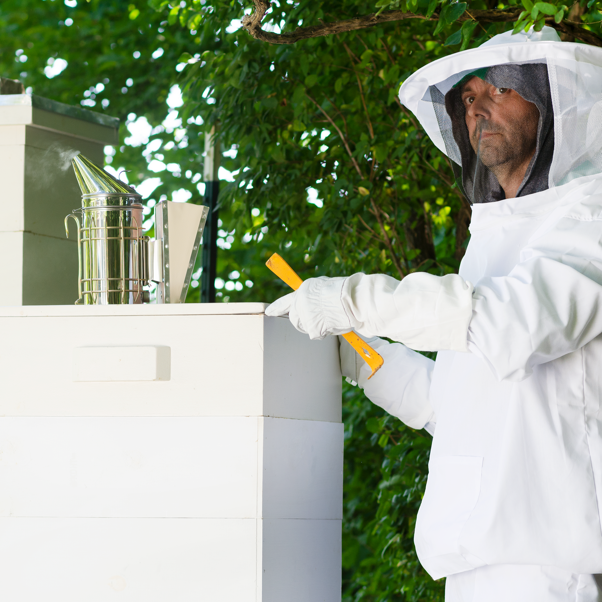 XXL Beekeeping Jacket